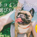 ビットコイン取引所のいろはを解説から選び方まで